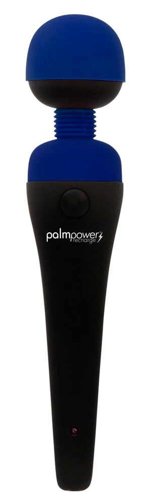 palmpower recharge Blue